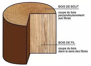 Diagramme d'une coupe transversale d'une buche, bois de bout vs bois de fil.